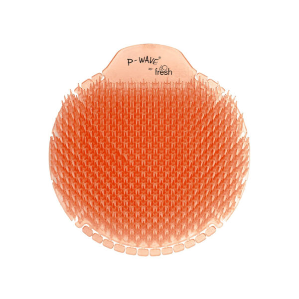 105251_mango_6